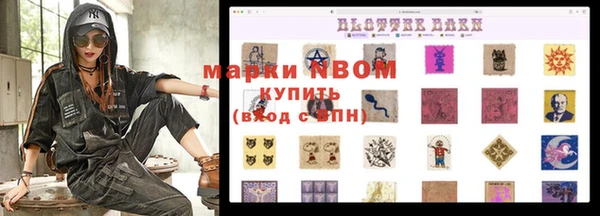 mdpv Бородино