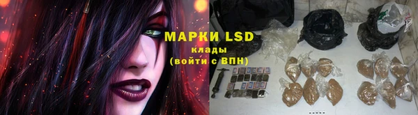 mdpv Бородино