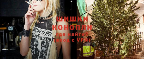 mdpv Бородино