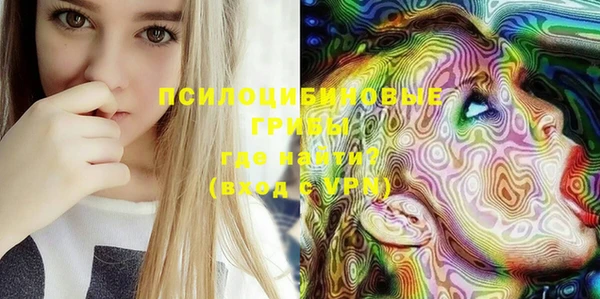 ECSTASY Бронницы
