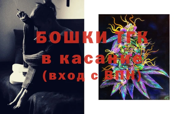 mdpv Бородино