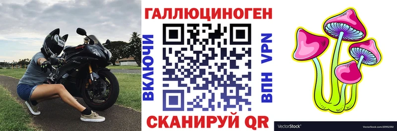 Псилоцибиновые грибы GOLDEN TEACHER  Купить где  Кушва 